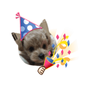 POKO STAMP