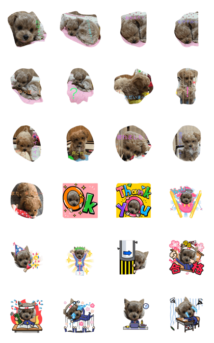 POKO STAMP