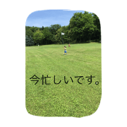 summer summer summer