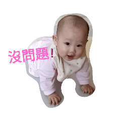 蕎小妹耍萌日常