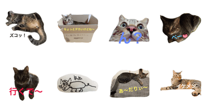 amekichi