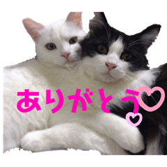 Koume&Kotetsu etc...