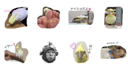 Bonchan!!