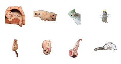 mofu mofu cat.2