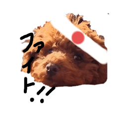 kaichandes