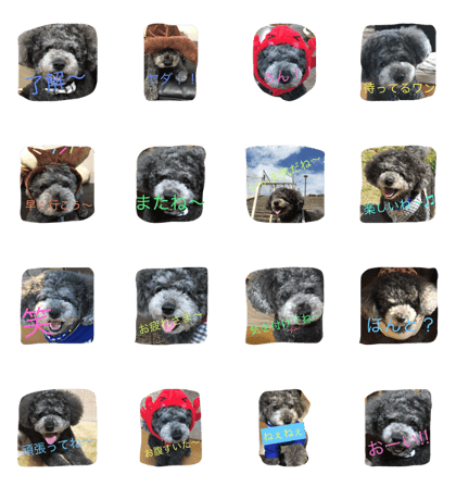 toypoodle lucky stamp 2