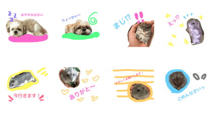 Mofu STAMP