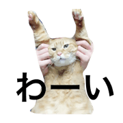 senyoustanp