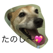 poirot