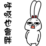 Amber rabbit 7
