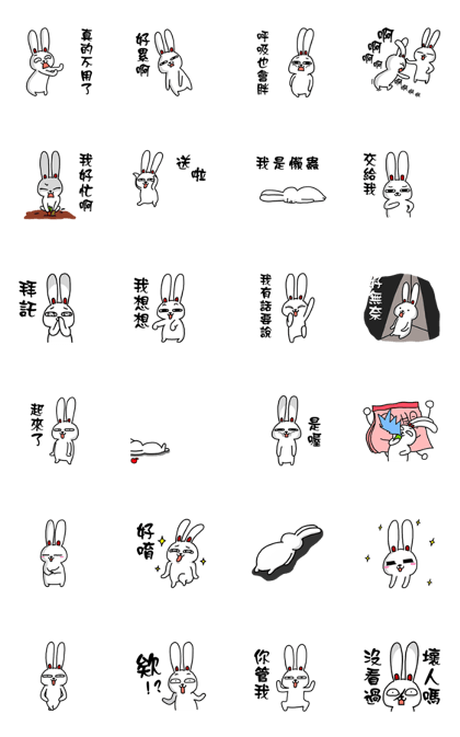Amber rabbit 7