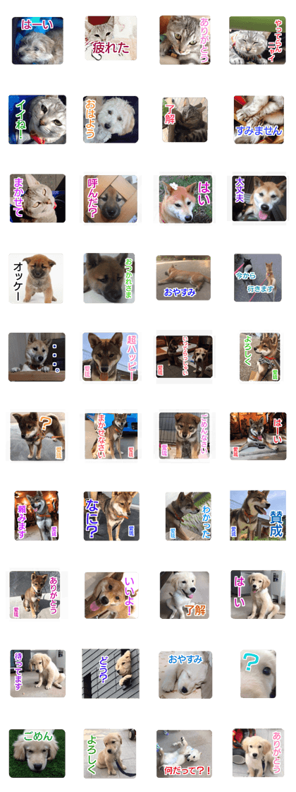 all animals etc2