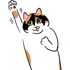 Calico cat PONZU