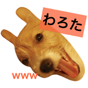 Hello Sadakichi