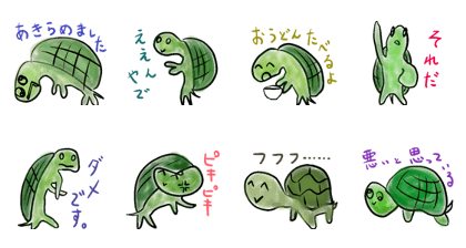 gloomy tortoise