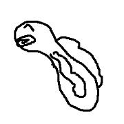 skyfishs