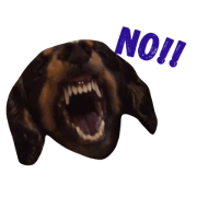 momochan of a dachshund.