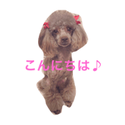 marine chan