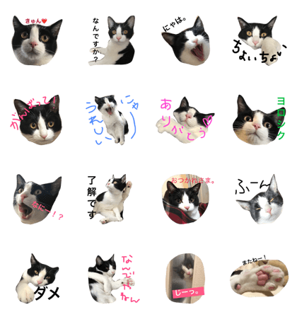 hachiware cat2