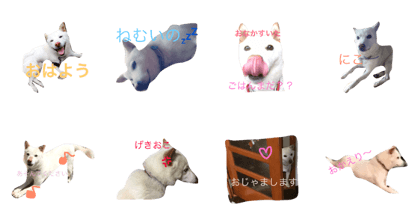 Peichan