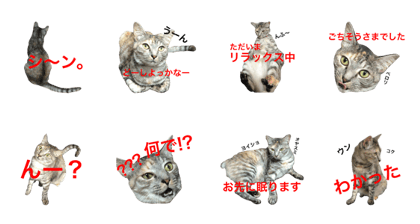 Miss Lily's Stamp03