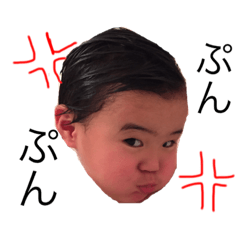 sakutokun