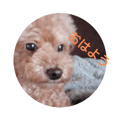 ryuki_20210525170502