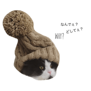 loccocat