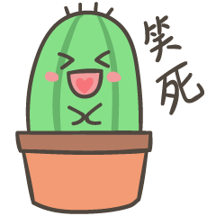 Cute and Little Cactus-Potted Cactus-2