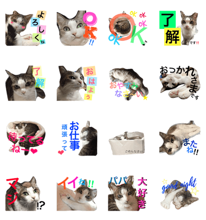 kade-chan16