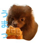 syokofranc