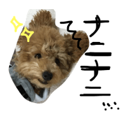 mattansenyo