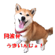 Awa dialect of the Japanese midget Shiba