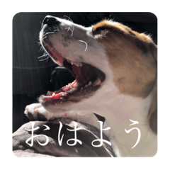 sherry_20210525152722