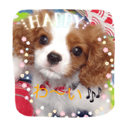 cavalier stamp part2
