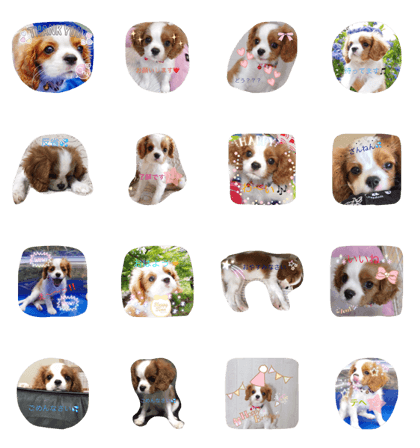 cavalier stamp part2