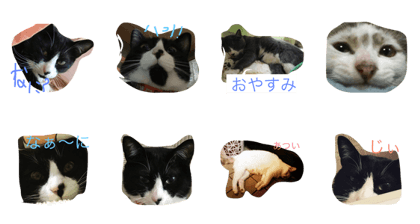 KAWAINEKOTATI