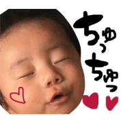 Mr. cute HARU