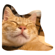 TORAjapaneseCAT