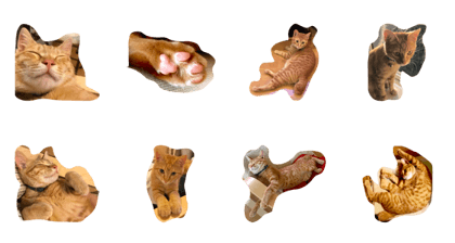 TORAjapaneseCAT