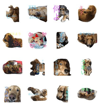 miniDAKS