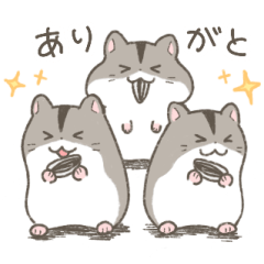 Hamsters from Kanto
