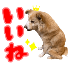 mizuki_20210525154721