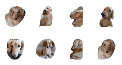 QOO-0522