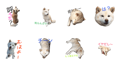 kocchan  LIFE