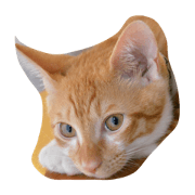 chi_ku_wa