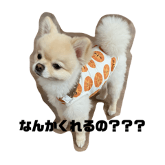 jason_20210525180029