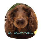 Mynameisponko03