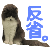 harunatsucollection