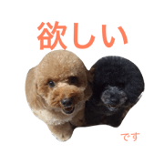 Miico and Cha